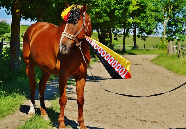 还是独行侠 还是独行侠