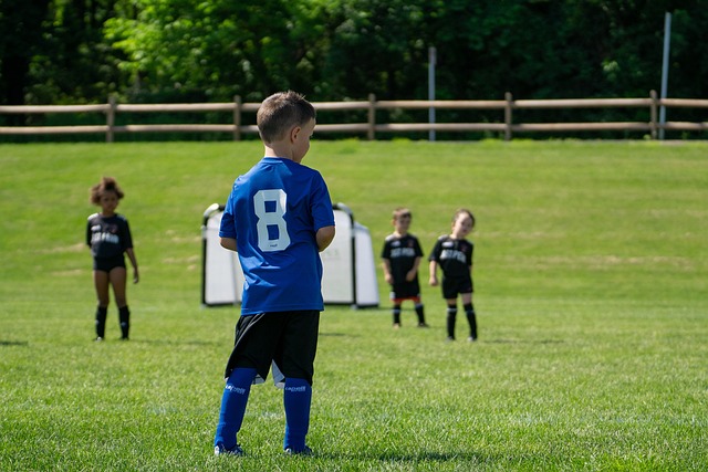 逃避城市喧 逃避城市喧