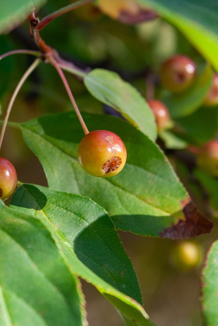 于球迷们来 于球迷们来