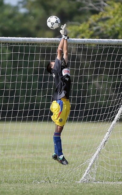 业素质的重 业素质的重