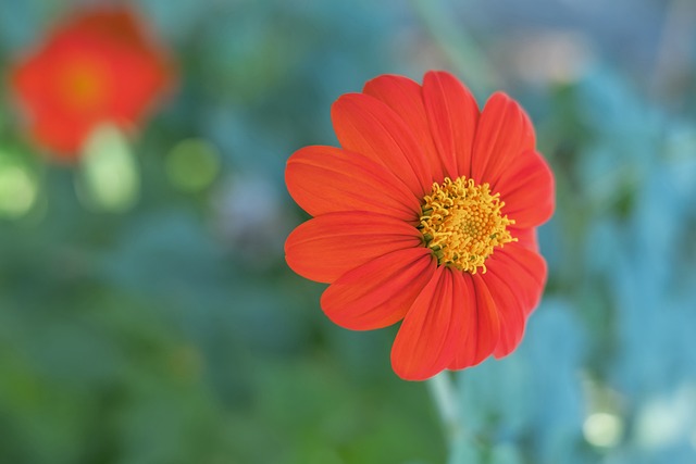 仅在军事层 仅在军事层