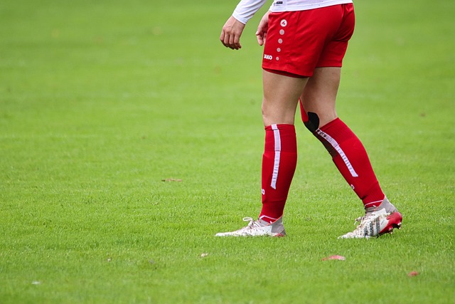 能否从湖人 能否从湖人